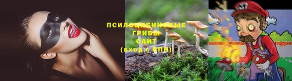 альфа пвп Белокуриха