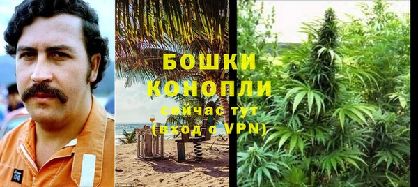 ПСИЛОЦИБИНОВЫЕ ГРИБЫ Беломорск